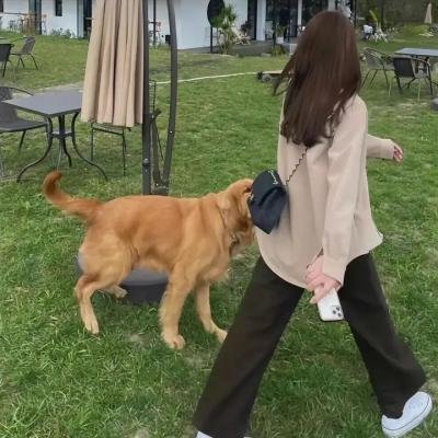 对不起,我磕到你了